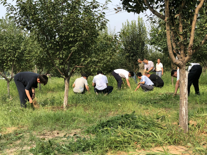 后勤分工会举办“创建文明单位，志愿者在行动”义务拔草活动