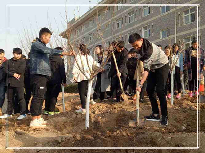 春风十里，种了心意—轻化工程系植树活动