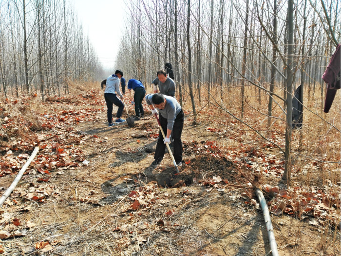 后勤党支部召开支部大会并开展义务植树活动