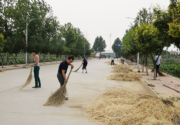美丽清泉，我们在行动！---机关一和艺术设计系党支部与清泉村开展结对帮扶