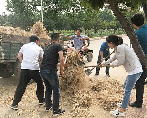 美丽清泉，我们在行动！---机关一和艺术设计系党支部与清泉村开展结对帮扶