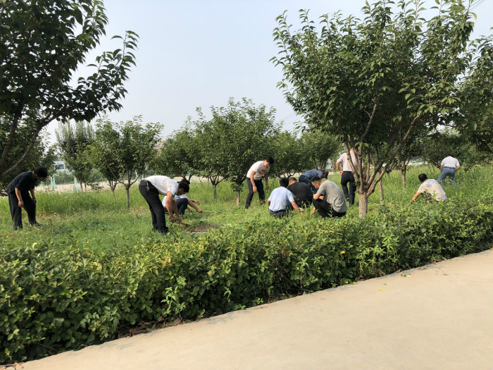 后勤分工会举办“创建文明单位，志愿者在行动”义务拔草活动