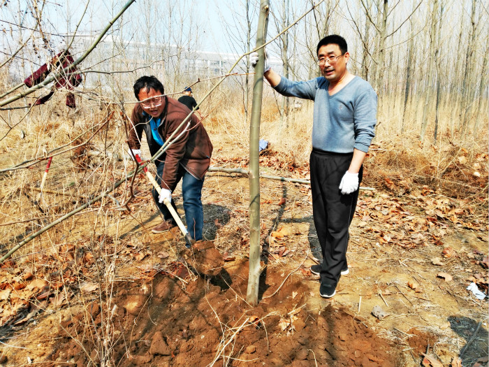 后勤党支部召开支部大会并开展义务植树活动